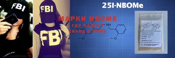 индика Нягань